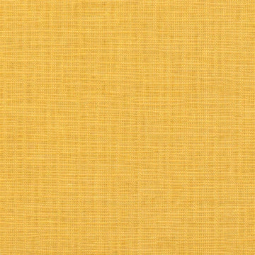 Chenille Honey