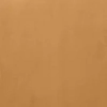 Plush Burnt Orange